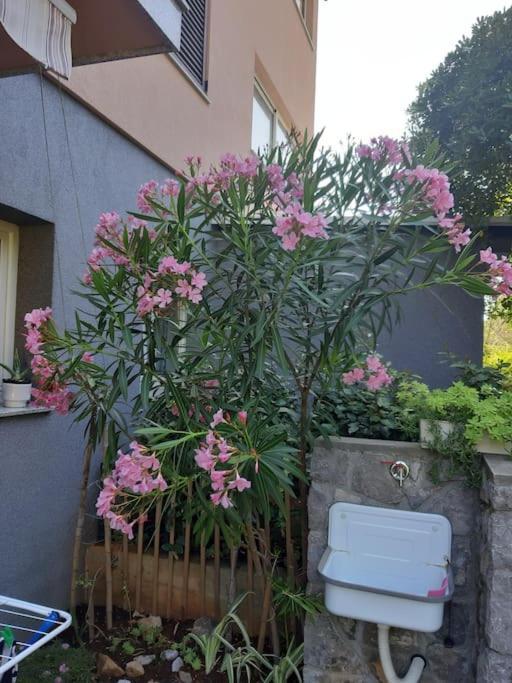 Apartman Modric Draga Mošćenička Draga Buitenkant foto
